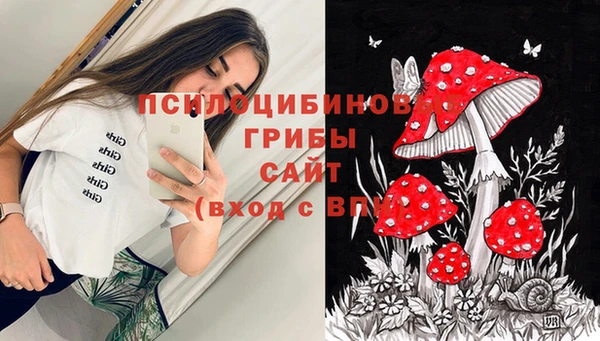 не бодяженный Кодинск