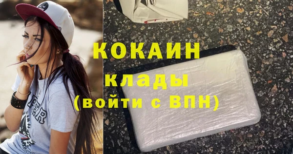 твердый Козловка
