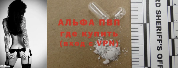 твердый Коряжма