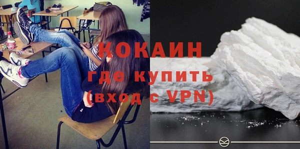 твердый Коряжма