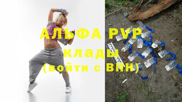 твердый Коряжма