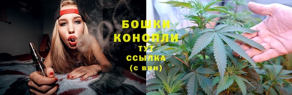 прущие крисы Козельск
