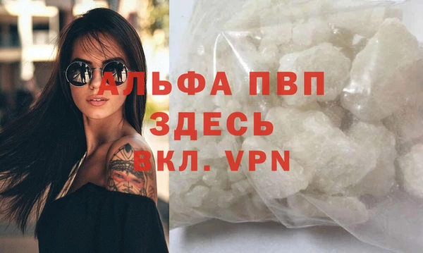 твердый Коряжма