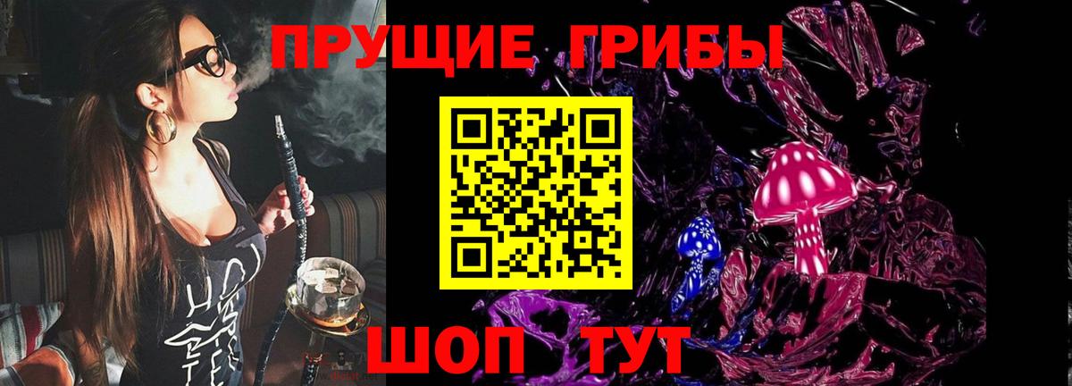 Псилоцибиновые грибы мицелий Кузнецк