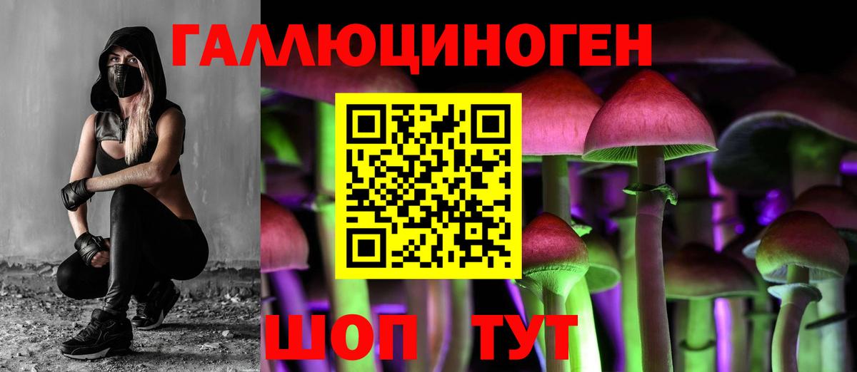 Кузнецк  Псилоцибиновые грибы прущие грибы  Вход с VPN 