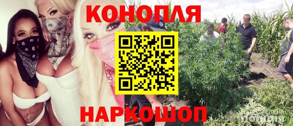 МАРИХУАНА ГИДРОПОН  Вход с VPN  Кузнецк  Бошки марихуана марихуана 
